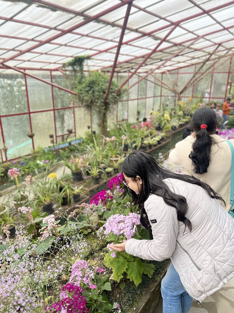Botanical Nursery - Botanical Nursery 9J6H+767, Gangtok, Sikkim 737103, India