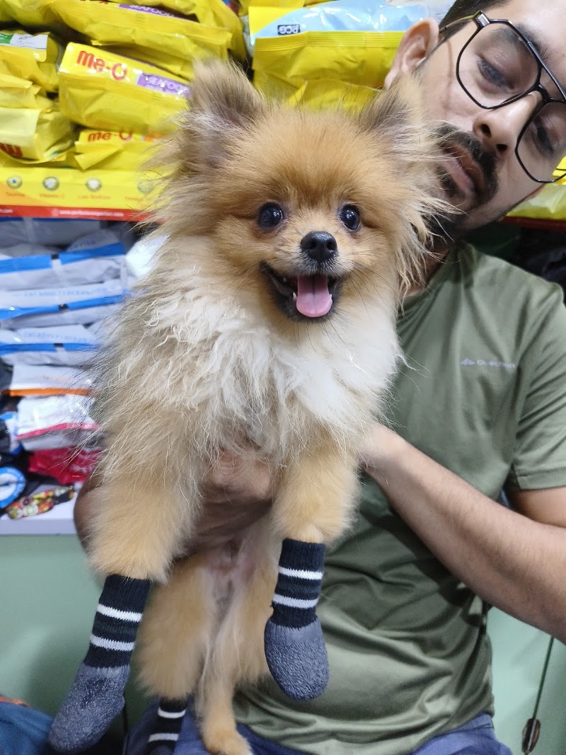 Furry cuddle Chembur nakka - Furry cuddle Chembur nakka Shop no 1/2, rishabh shopping centre, below chembur nakka mono rail station, Gulmarg Society, Chembur, Mumbai, Maharashtra 400071, India
