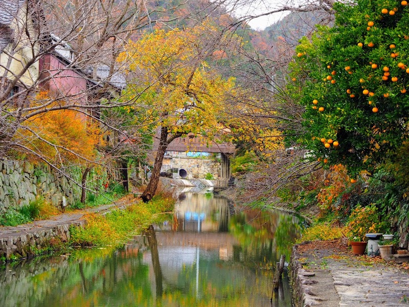 Hachiman-bori Canal Promenade - Hachiman-bori Canal Promenade 1-chōme-19-3 Ikedamachi, Omihachiman, Shiga 523-0876, Japan