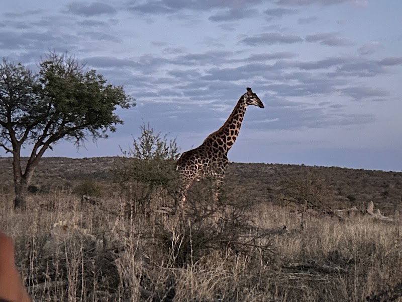 Balule Nature Reserve - Balule Nature Reserve, PWG2+53, 1380, South Africa
