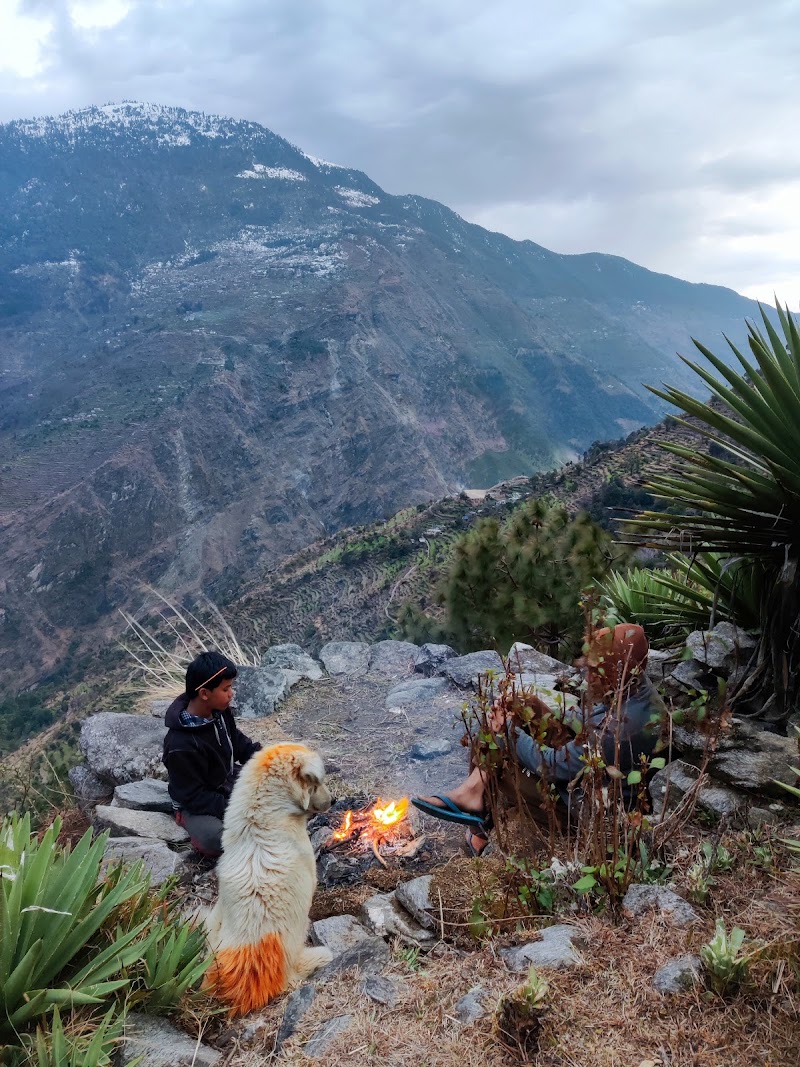 Him Darshan Homestay and resort. - Him Darshan Homestay and resort., Kanyalgaon, Khela, Suwa, Uttarakhand 262545, India