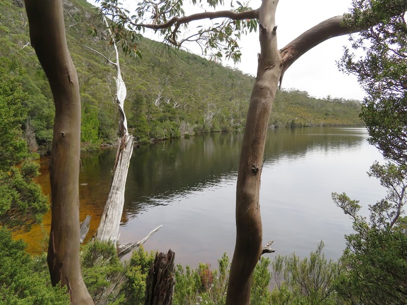Dove Lake Circuit - Dove Lake Circuit, Dove Lake Cct, Cradle Mountain TAS 7306, Australia