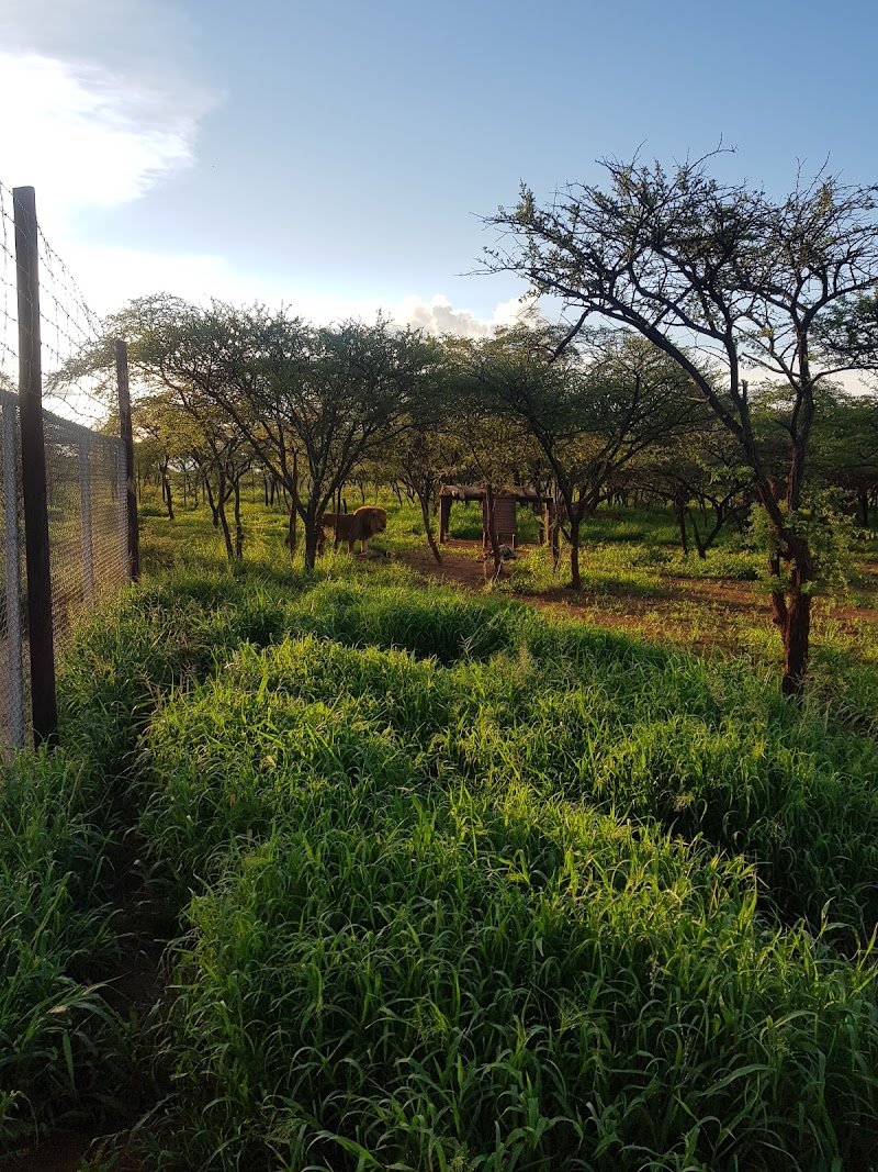 Tshabala Game Sanctuary - Tshabala Game Sanctuary, QH5C+QX3, Matopos Rd, Bulawayo, Zimbabwe