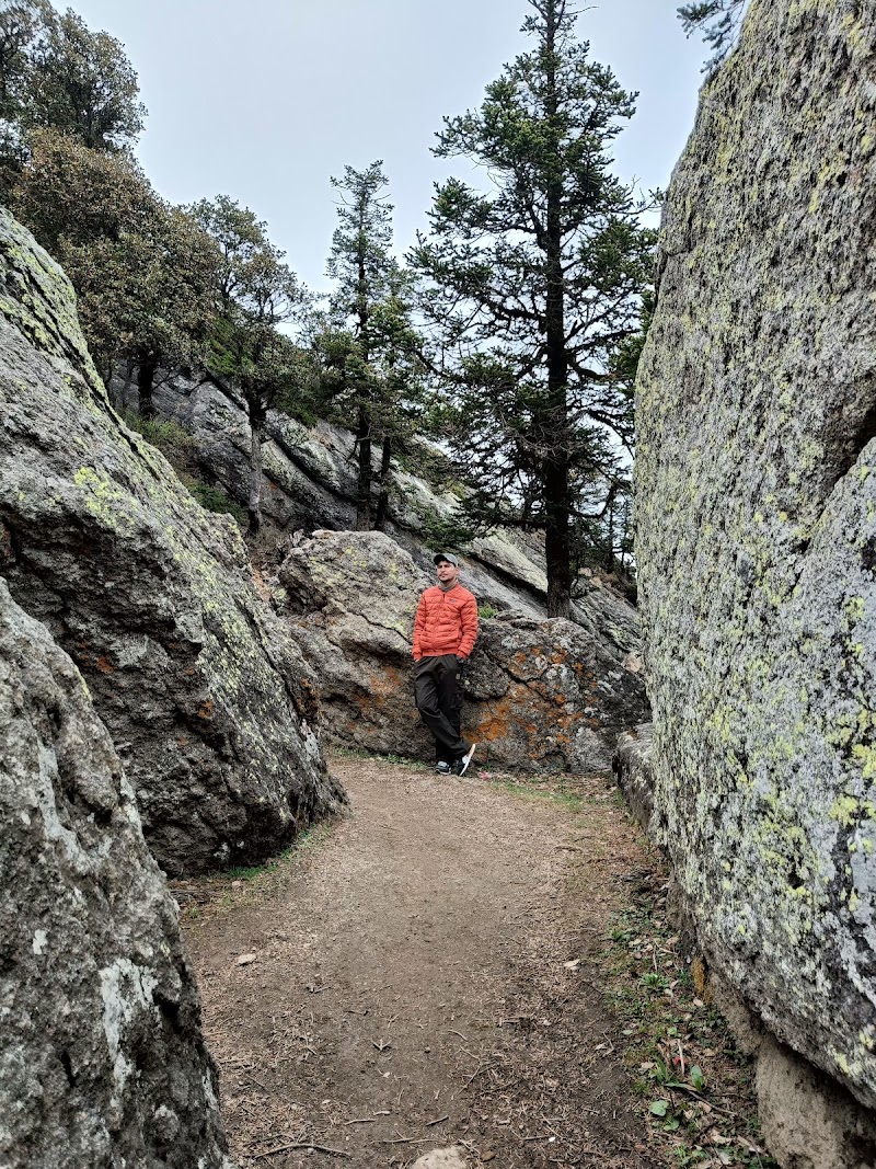 CHURU KA TIBBA - CHURU KA TIBBA, VFCM+4JC, Churdhar, Himachal Pradesh 171211, India