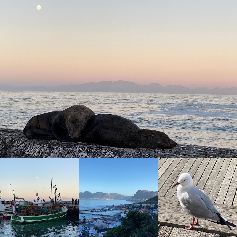 Kalk Bay - Kalk Bay, Cape Town, 7990, South Africa