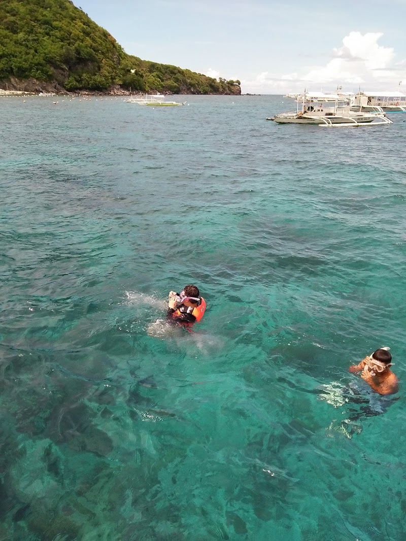 Apo Island Beach Resort - Apo Island Beach Resort, Apo Island, Dauin, 6217 Negros Oriental, Philippines