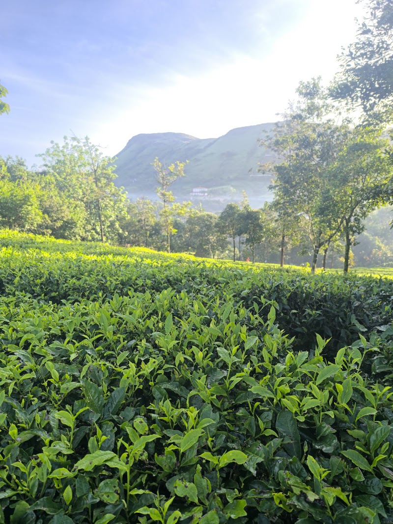 Kaithapathal View Point - Kaithapathal View Point MWV2+755, Vagamon, Keralam 685503, India