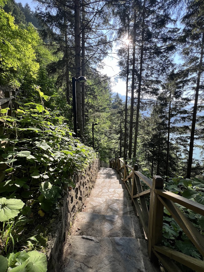 Uzungol Observation Deck - Uzungol Observation Deck Uzungöl, 61940 Çaykara/Trabzon, Türkiye
