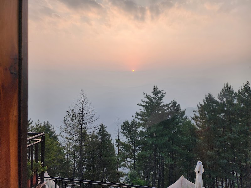 Thanedhar - Thanedhar, 8FFR+363, Narkanda, Thanadhar, Himachal Pradesh 172030, India