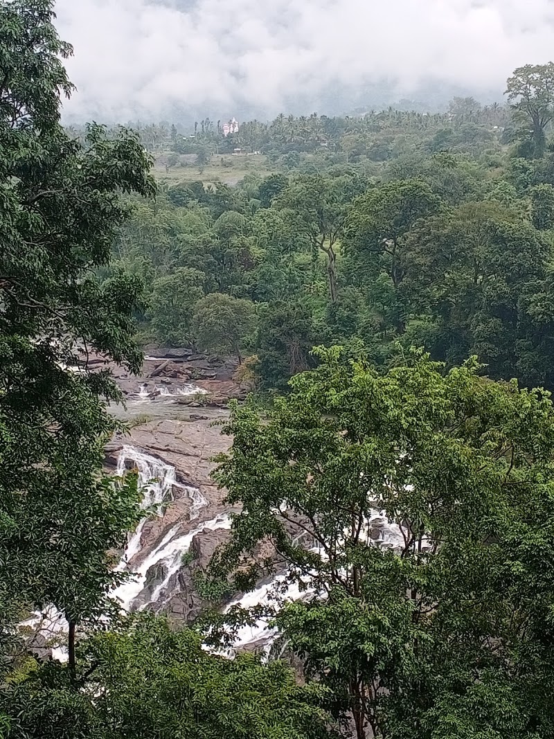 MUNNAR ,MARAYUR & KANTHALLOOR ROOMS &TOUR PACKAGES🌿🌄⛰️🌇 - MUNNAR ,MARAYUR & KANTHALLOOR ROOMS &TOUR PACKAGES🌿🌄⛰️🌇 Kanthalloor - Marayoor Rd, Marayoor, Kerala 685620, India