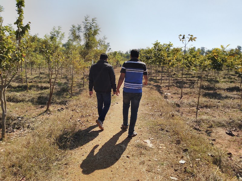 Aanand Ban Umerkote - Aanand Ban Umerkote, M644+RX4, Nowrangpur, Odisha 764073, India