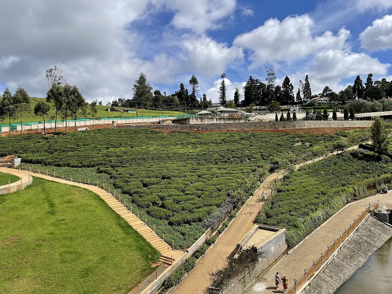 Karnataka Siri Horticulture Garden - Karnataka Siri Horticulture Garden Fern Hill, West Mere, CM2M+9GV, West Mere, Ooty, Tamil Nadu 643004, India
