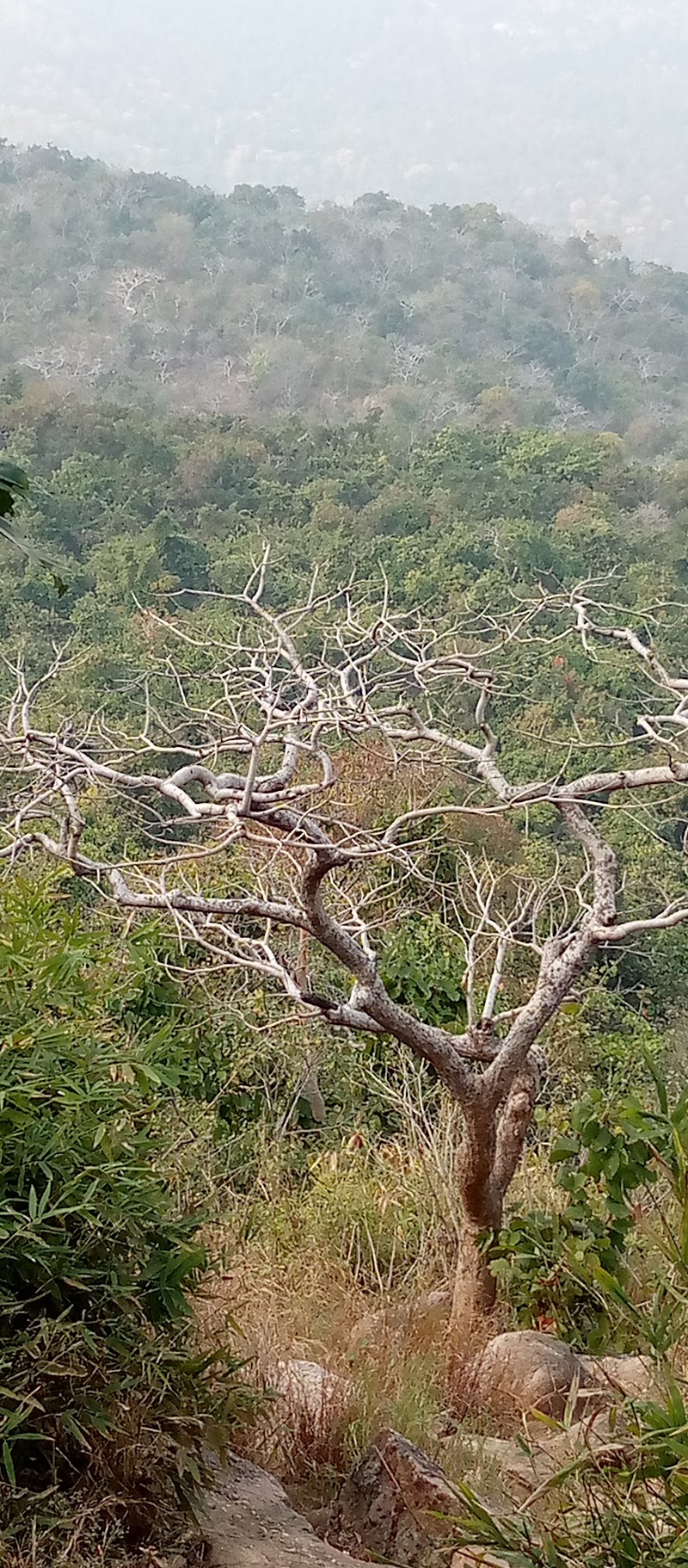 Dalha Pahad Peak Point - Dalha Pahad Peak Point, 3CX2+F58, Kosmanda, Chhattisgarh 495552, India