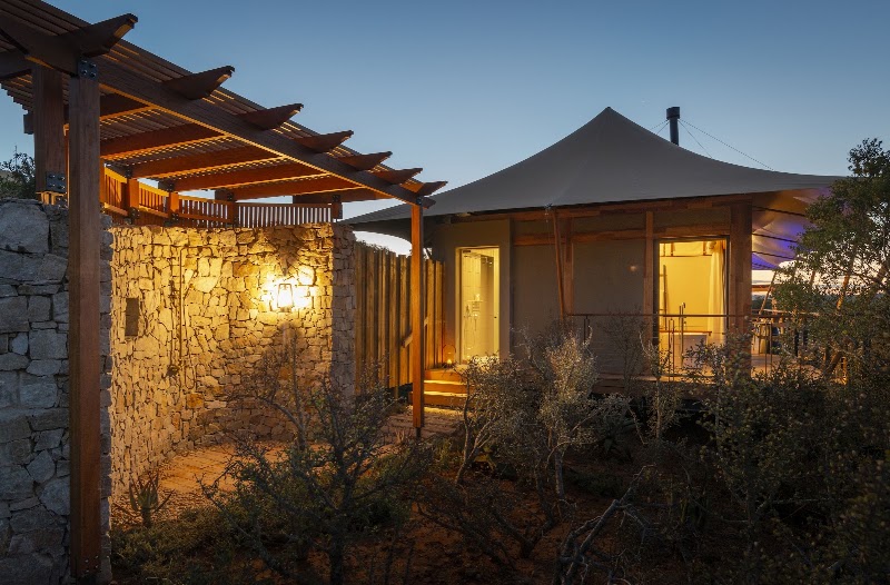 Sindile at Shamwari Private Game Reserve