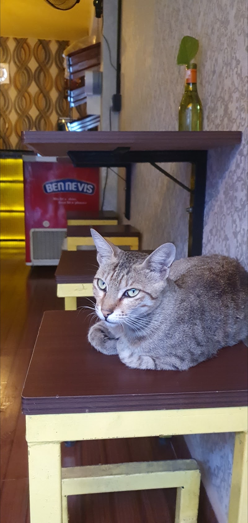 Sweeti’s Cafe & Home - Sweeti’s Cafe & Home P896+8MF, Leknath Marg, Kathmandu 44600, Nepal