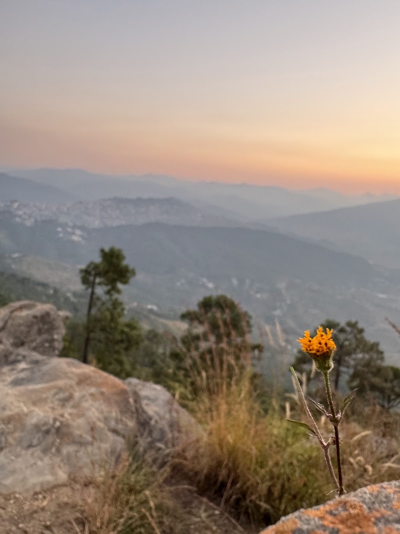 Crank's Ridge / Kasar Devi sunset point - Crank's Ridge / Kasar Devi sunset point, Kasar Devi Temple, Almora, Mat, Uttarakhand 263601, India