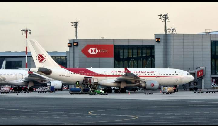 Air Algeria - Air Algeria, İmrahor, Terminal Caddesi No:1, 34283 Arnavutköy/İstanbul, Türkiye