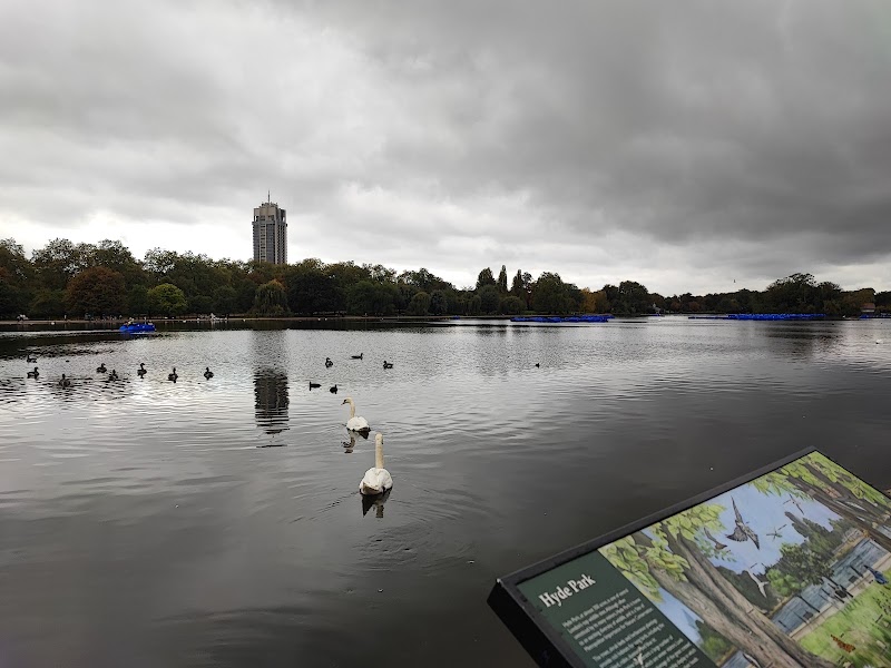 Diana, Princess of Wales Memorial Fountain - Diana, Princess of Wales Memorial Fountain W Carriage Dr, London W2 2UH, UK