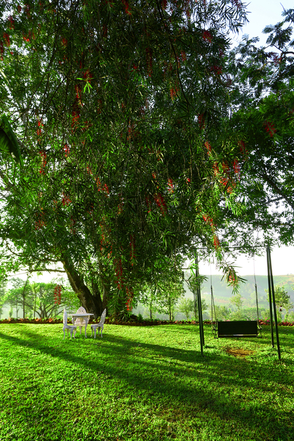 Parisons Plantation Experiences by ABAD, Wayanad - Parisons Plantation Experiences by ABAD, Wayanad Thalappuzha Police Station Rd, Thalappuzha, Thavinhal, Kerala 670644, India