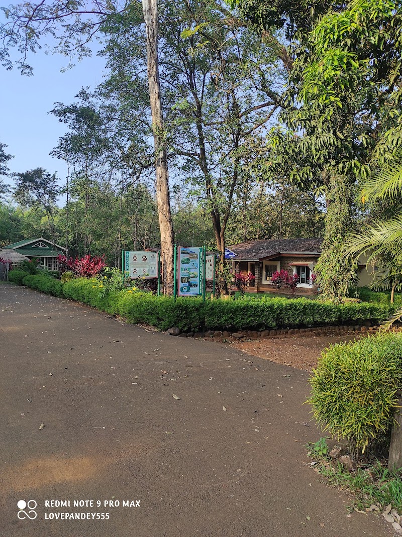 Netravali Wildlife Sanctuary Goa - Netravali Wildlife Sanctuary Goa 36MJ+FR7, Unnamed Road, Neturlim, Goa 403704, India