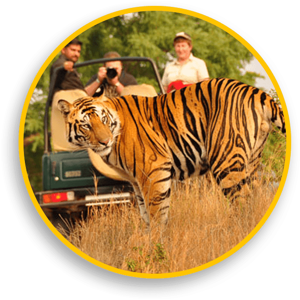 River Valley Resort - River Valley Resort Singara Rd, Masinagudi, Tamil Nadu 643223, India