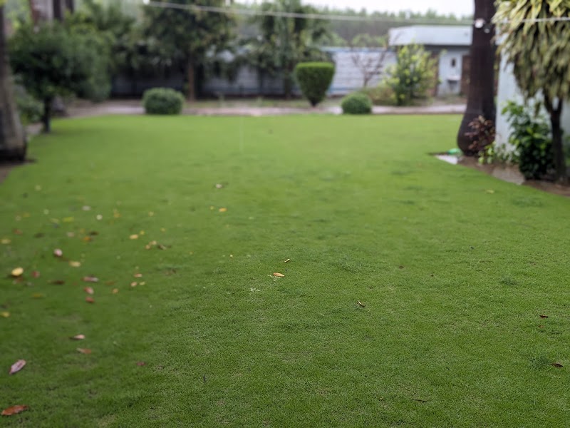 Tali farms - Tali farms, H.no, 1, po, Tali, Bazpur, Uttarakhand 262401, India