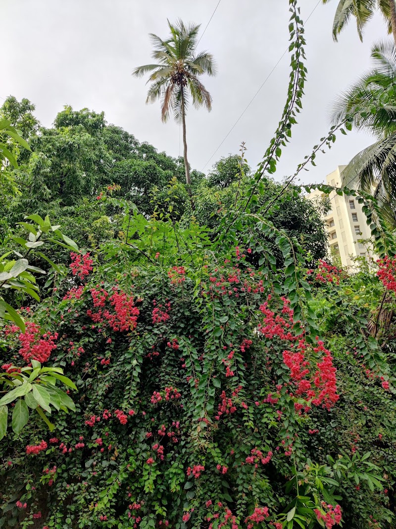 Pali Mala Road - Pali Mala Road, Pali Mala Rd, Mumbai, Maharashtra 400050, India