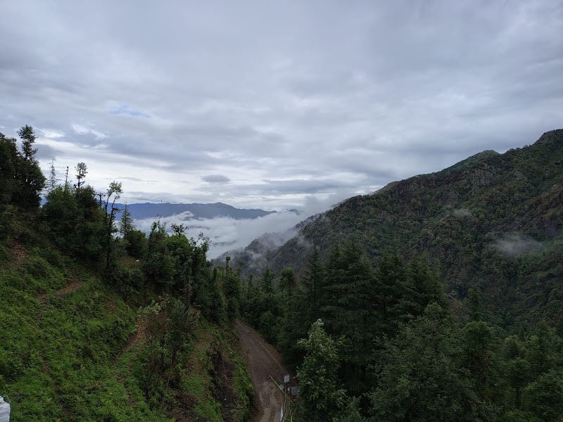 Apple Orchard Resort | Resort in Dhanaulti - Apple Orchard Resort | Resort in Dhanaulti Lagga Goth, Ward Jaunpur, Dhanolti, Kempty Range, Uttarakhand 249180, India