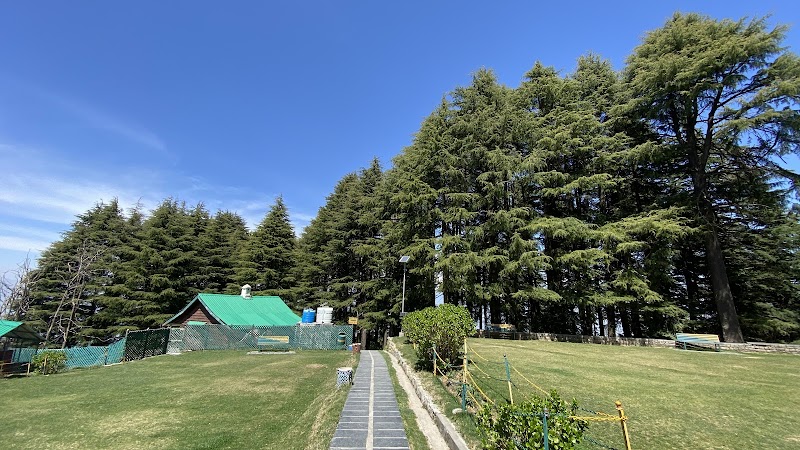 Kalatop Wildlife Sanctuary - Kalatop Wildlife Sanctuary H238+5X8, Kalatope R.F, Himachal Pradesh 176304, India