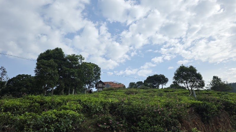 The Observatory - The Observatory, 9VR9+JWM, Adubettu, Kotagiri, Tamil Nadu 643201, India