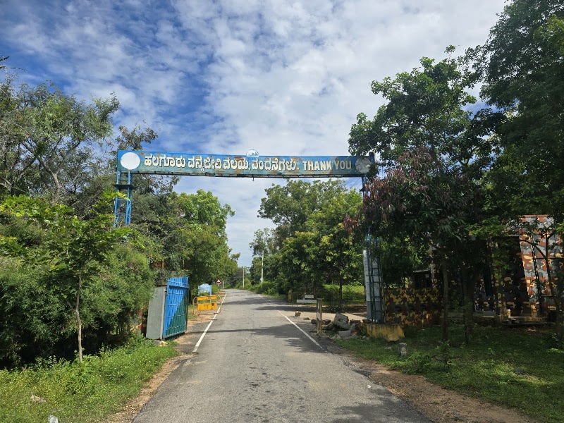 Cauvery Wildlife Sanctuary,Mandya-Ramanagara zone. - Cauvery Wildlife Sanctuary,Mandya-Ramanagara zone., 8862+JQX, Basavana Betta Forest, Karnataka 571421, India