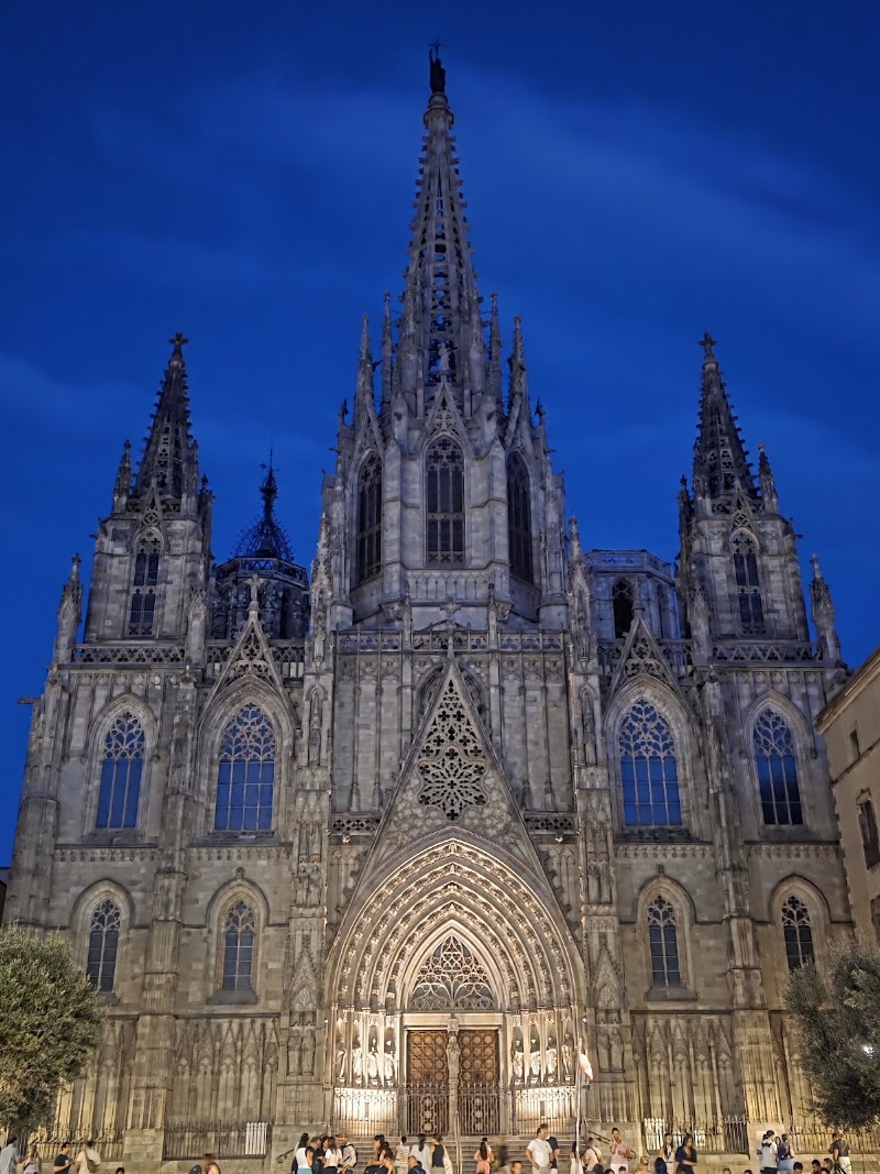Cathedral of Barcelona - Cathedral of Barcelona Pla de la Seu, s/n, Ciutat Vella, 08002 Barcelona, Spain