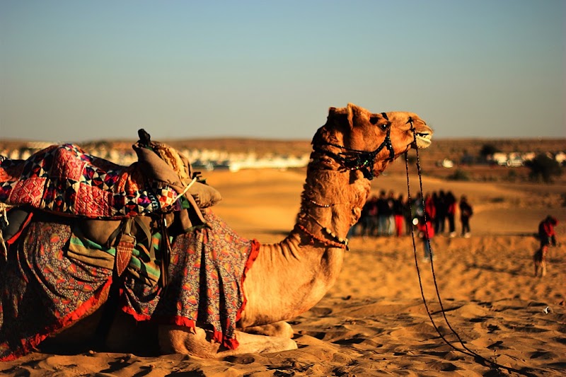 TRIP INDIA PVT LTD