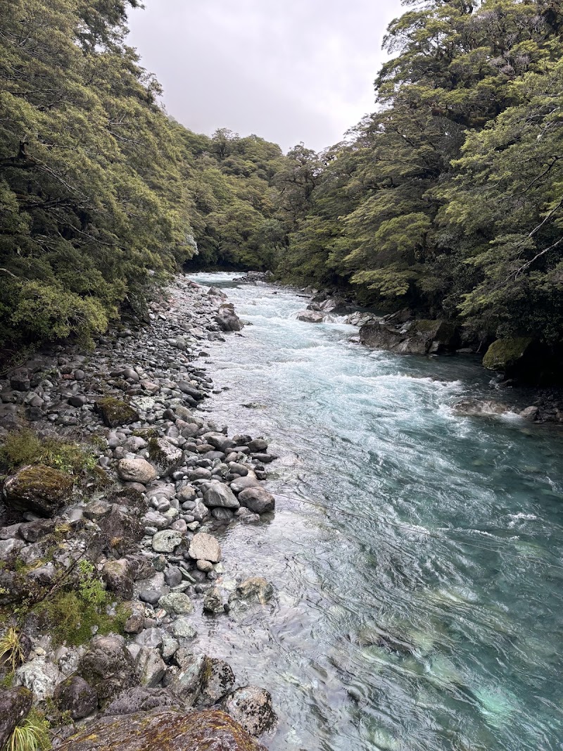 Lake Marian Track - Lake Marian Track, Southland 9679, New Zealand