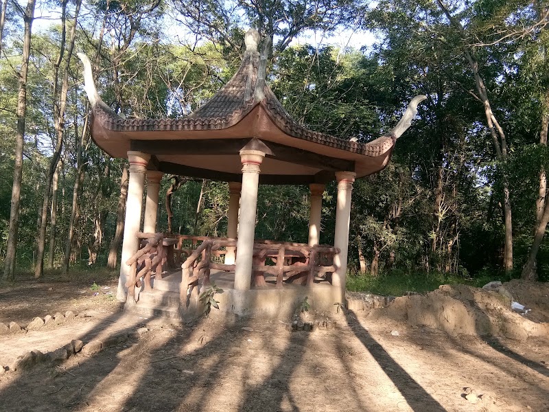 Rose Garden - Rose Garden, VCQ6+H5G Paryawaran Park, TV Tower Rd, Kelo Vihar, Raigarh, Chhattisgarh 496001, India
