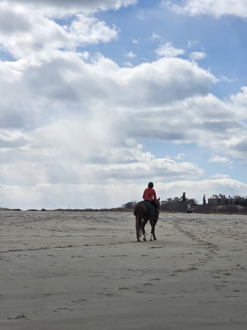 Crane Beach - Crane Beach M6RH+54, Ipswich, MA 01938, USA