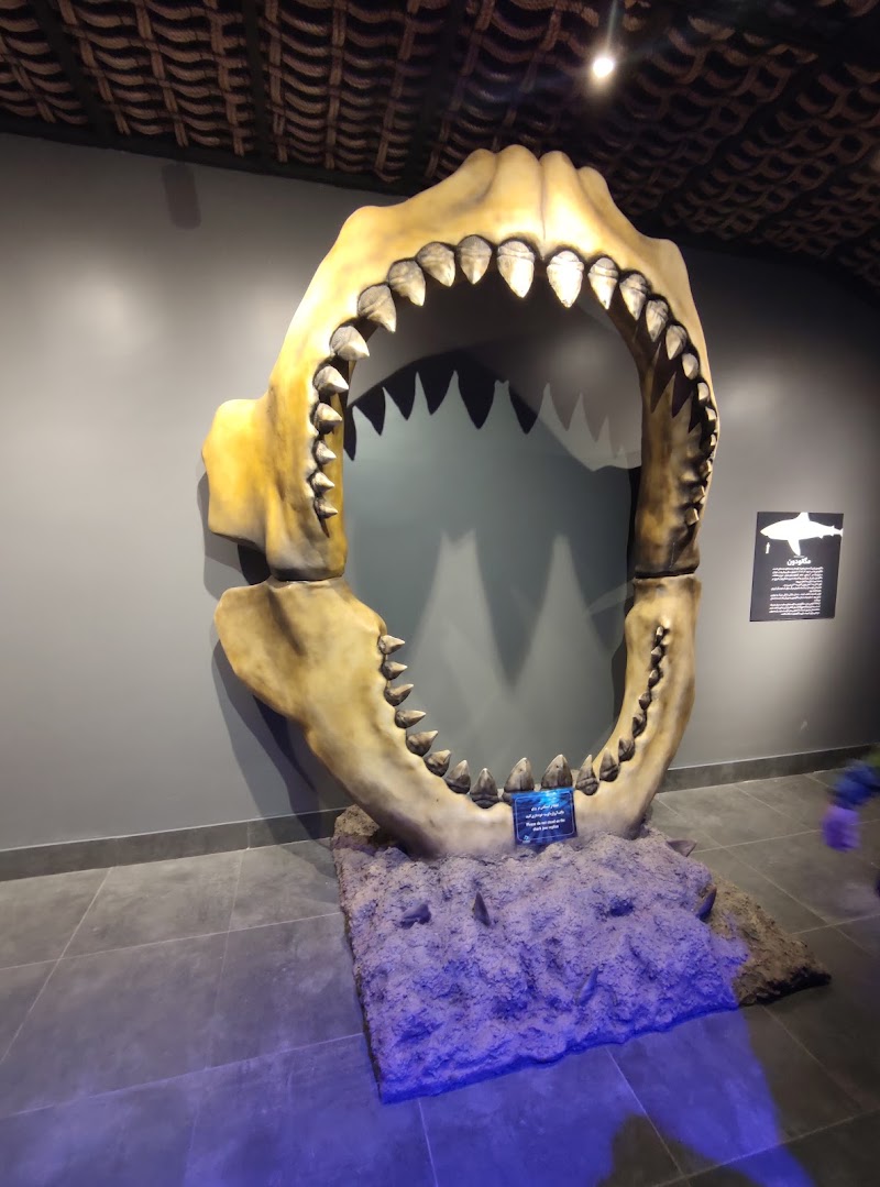 Funtastic Aquarium - Funtastic Aquarium, Gilan Province, Bandar Anzali, منطقه آزاد انزلی،کیلومتر 5، Fatehi Blvd, FM3F+8XX, Iran