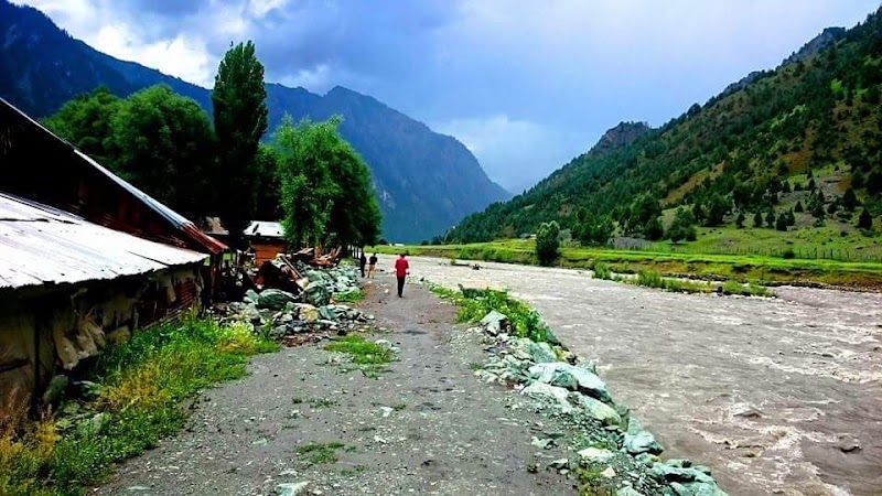 Gurez Valley - Gurez Valley, Forest Block 193503