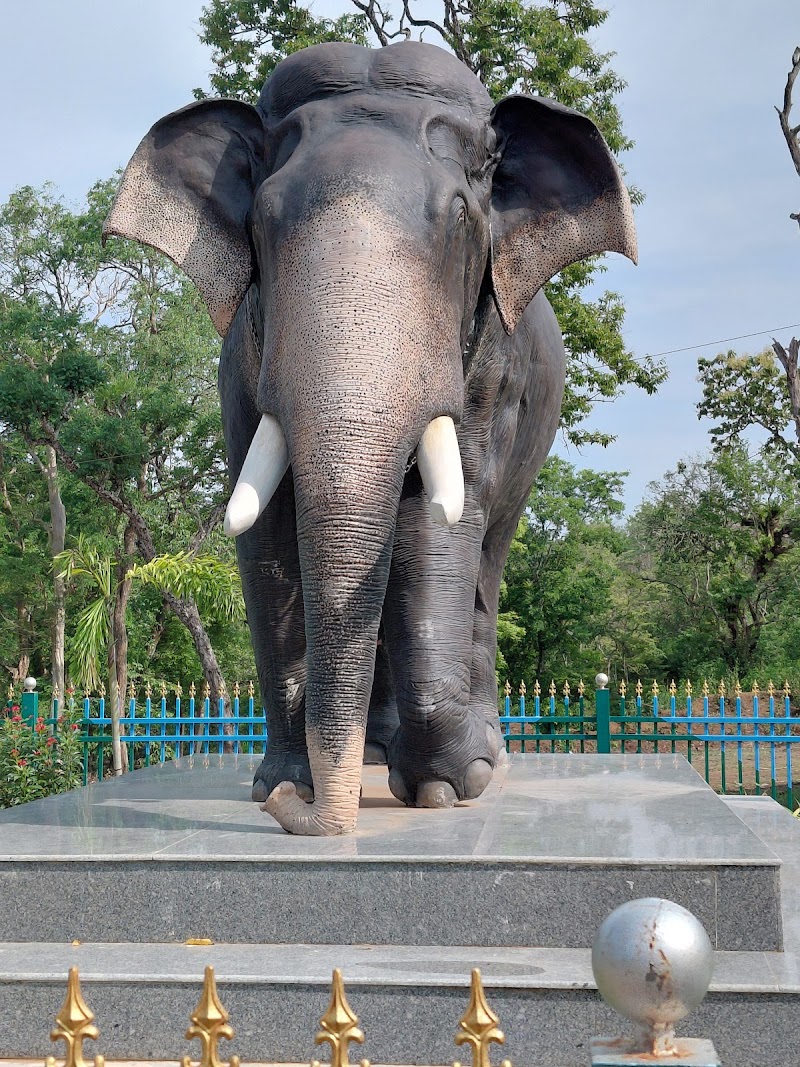 Nagarahole Tiger Reserve - Nagarahole Tiger Reserve, Karnataka, India