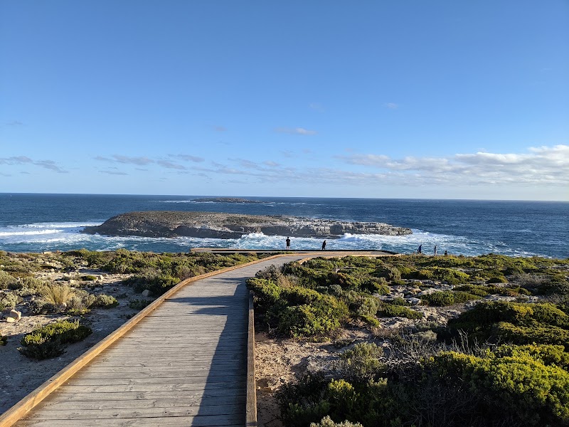 Flinders Chase National Park - Flinders Chase National Park, S Coast Road, Flinders Chase SA 5223, Australia