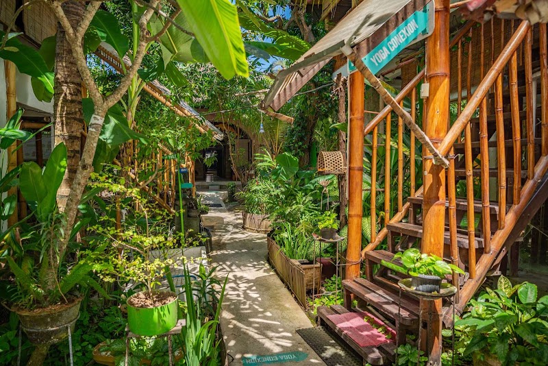 Serenity Eco Guesthouse and Yoga - Serenity Eco Guesthouse and Yoga Jl. Nelayan, Canggu, Kec. Kuta Utara, Kabupaten Badung, Bali 80361, Indonesia