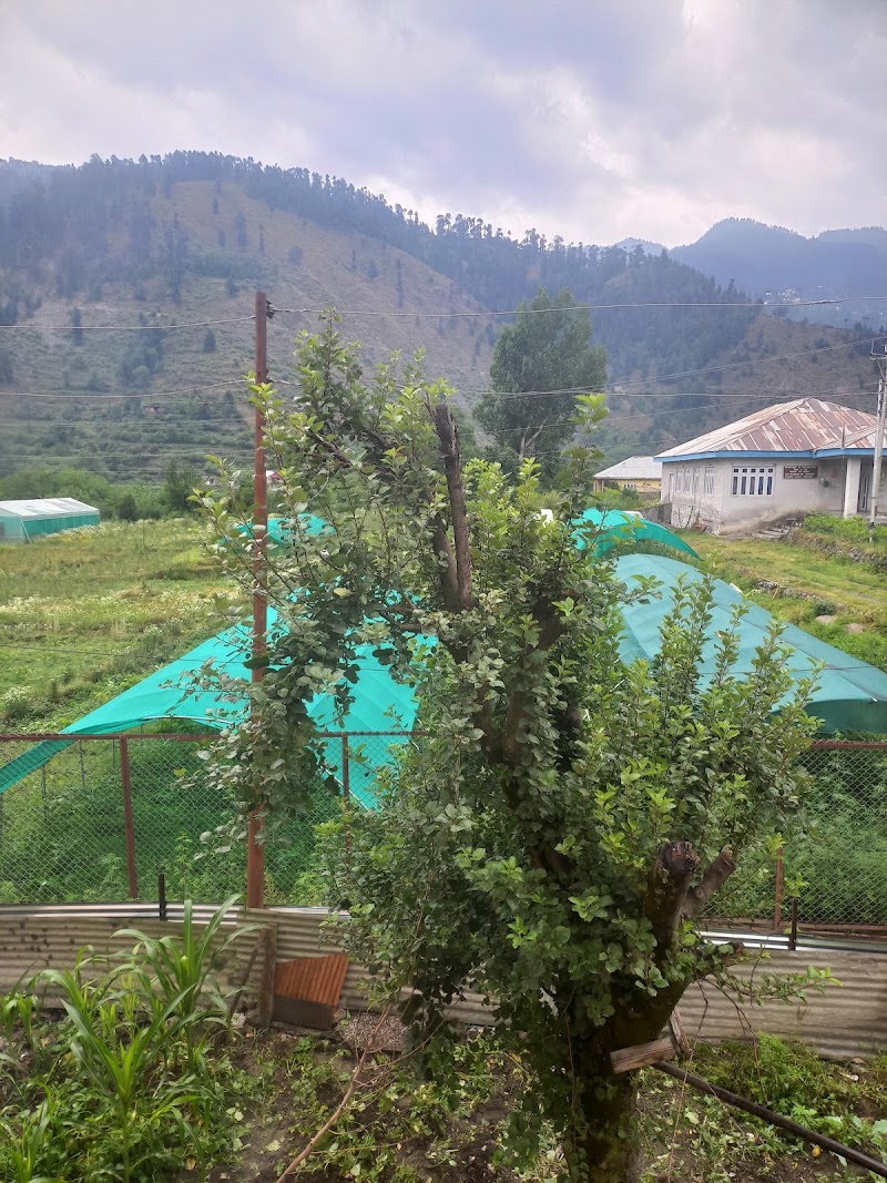 HIRA HILL VIEW GUEST HOUSE BHADERWAH - HIRA HILL VIEW GUEST HOUSE BHADERWAH, HIRA HILL VIEW GUEST HOUSE, opposite NEW BUS STAND, Bhaderwah, Forest Block, 182222