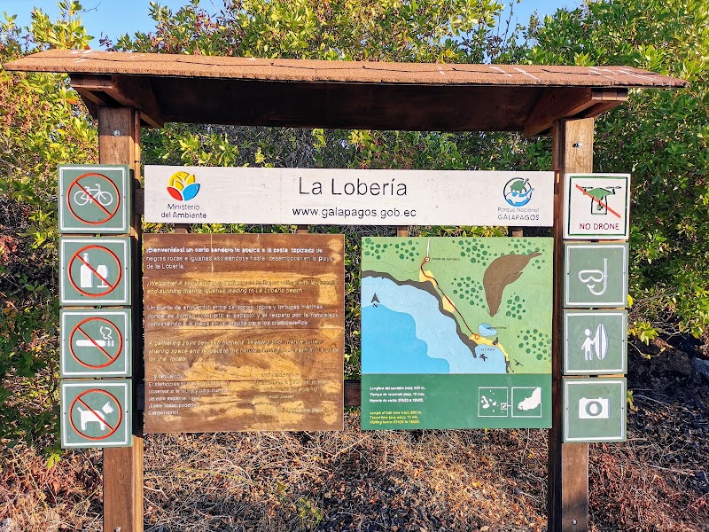 Playa Lobería - Playa Lobería, frente ala pista del avion, 39FQ+77Q, Puerto Baquerizo Moreno, Ecuador