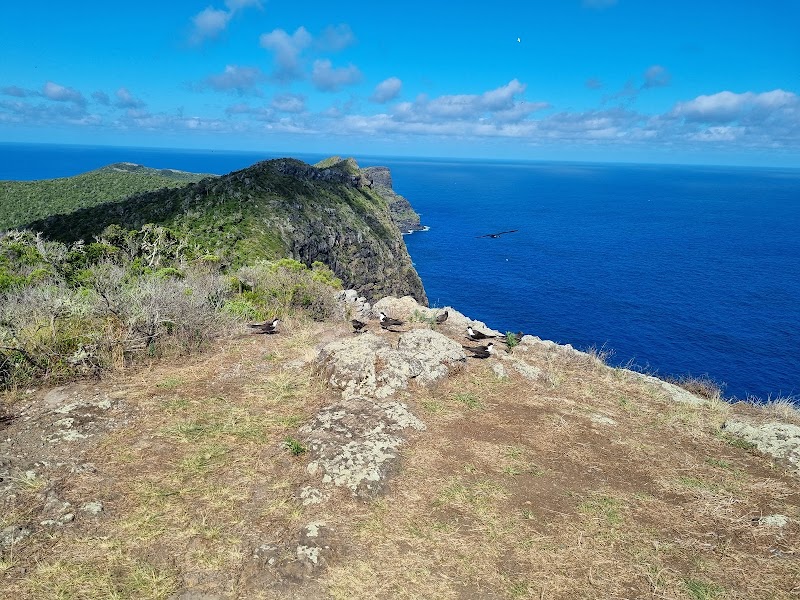 Malabar Hill - Malabar Hill, Lord Howe Island NSW 2898, Australia