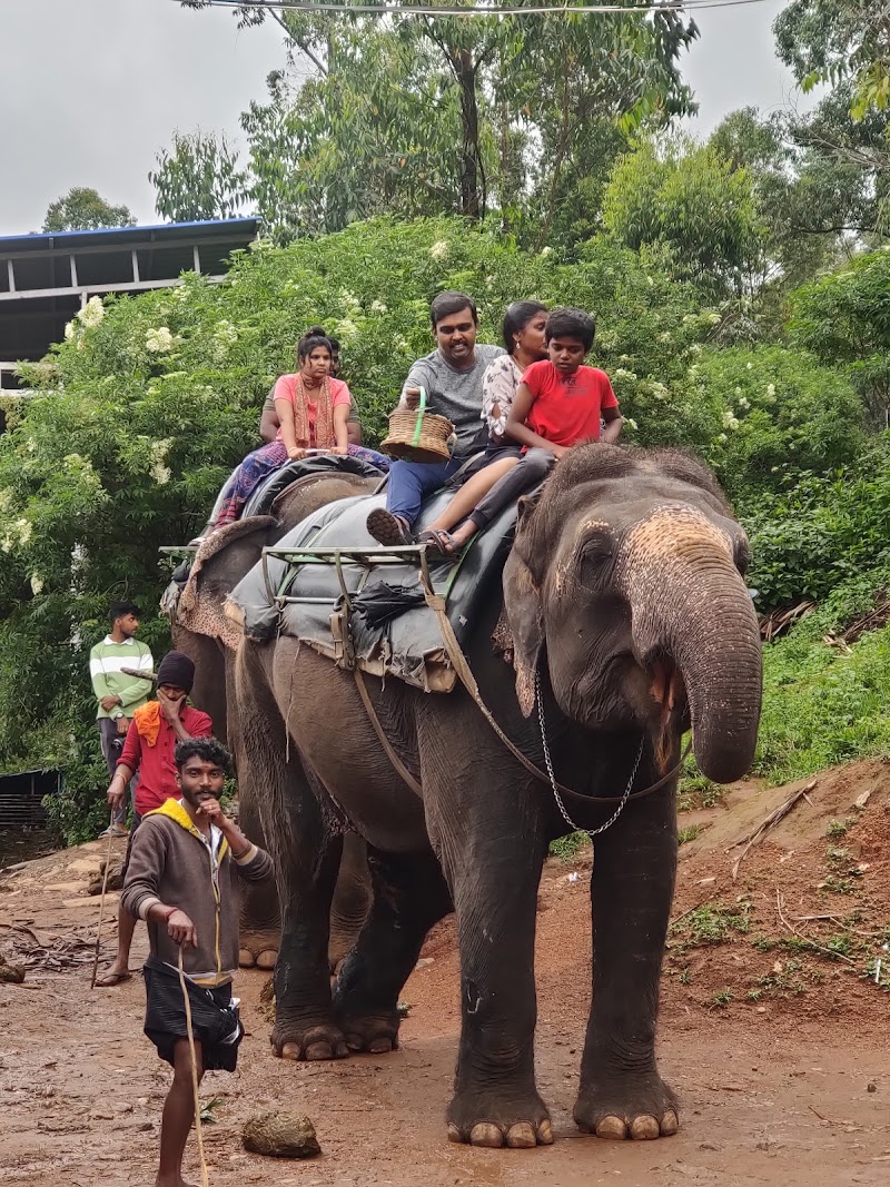 Tourism Village - Tourism Village Blossom Hydel Park, Moolakadai, Munnar, Kerala 685612, India