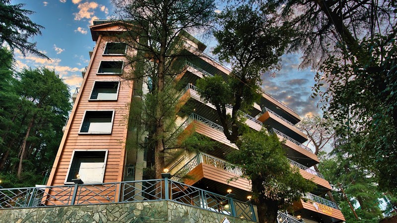 Hotel Alivaa Boutique Mcleodganj - Hotel Alivaa Boutique Mcleodganj, TIPA Road, Dharamkot Rd, McLeod Ganj, Dharamshala, Himachal Pradesh 176219, India