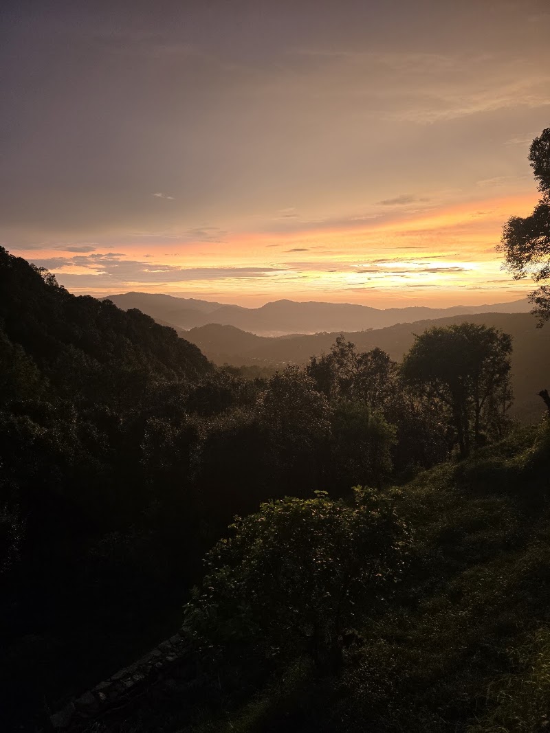 Jaihari Jungle Homestay - Jaihari Jungle Homestay, Jaiharikhal, Uttarakhand 246193, India