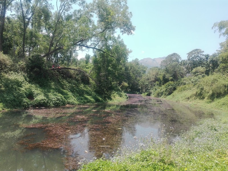 Meppadi - Meppadi Meppadi, Kerala 673577, India