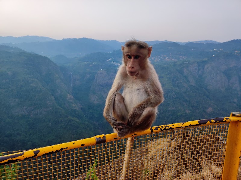 Dolphin Nose Viewpoint - Dolphin Nose Viewpoint Dolphins nose Rd, Alwarpet, Coonoor, Tamil Nadu 643102, India