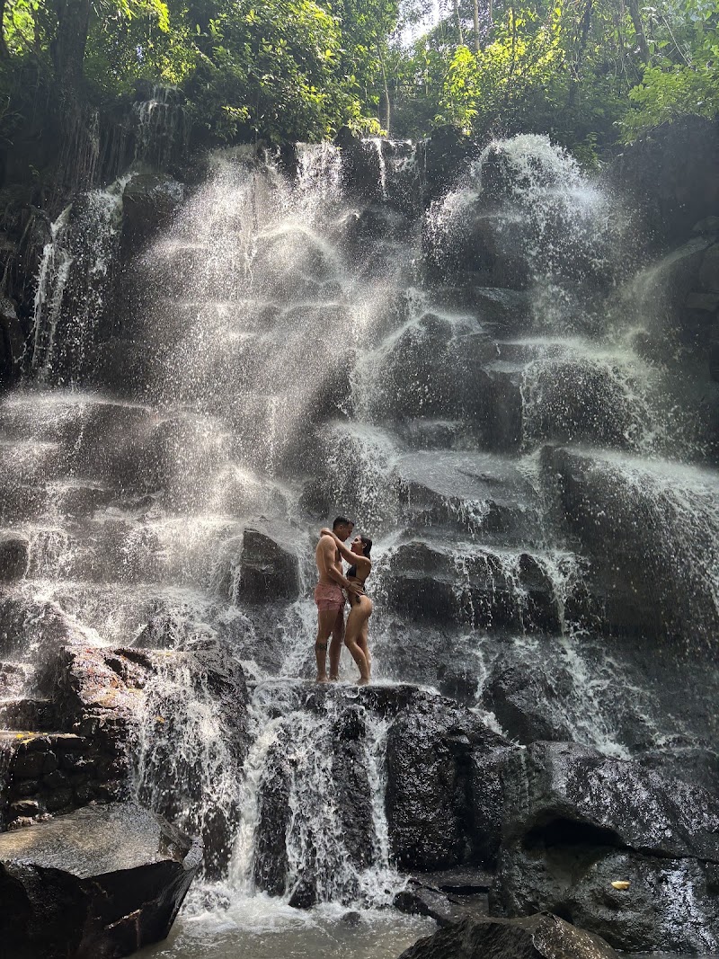 Wide Bali Tours - Wide Bali Tours, Jl. Sindu, Sayan, Kecamatan Ubud, Kabupaten Gianyar, Bali 80571, Indonesia